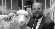Sklonował owcę Dolly. W wieku 79 lat zmarł Ian Wilmut