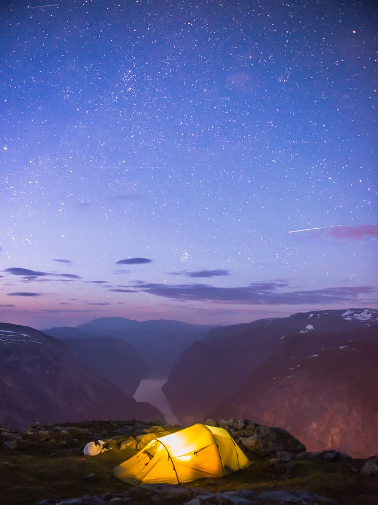 Fotograf rzucił pracę, by podróżować ze swoim psem - poznaj przygody Henrika Vikse i Akiaka 11