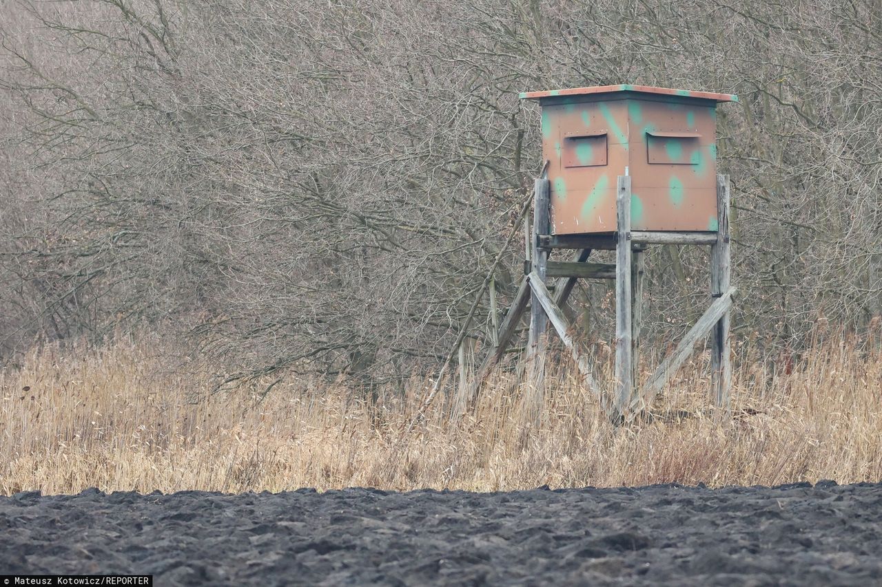 2-latka postrzelona. PZŁ złoży zawiadomienie