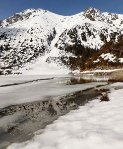 Zwierzę wyszło spod lodu. Ślady na śniegu w Tatrach