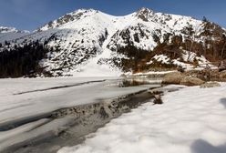 Zwierzę wyszło spod lodu. Ślady na śniegu w Tatrach