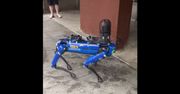 Policyjny pies robot "terroryzuje" Nowy Jork. Burmistrz staje po stronie mieszkańców