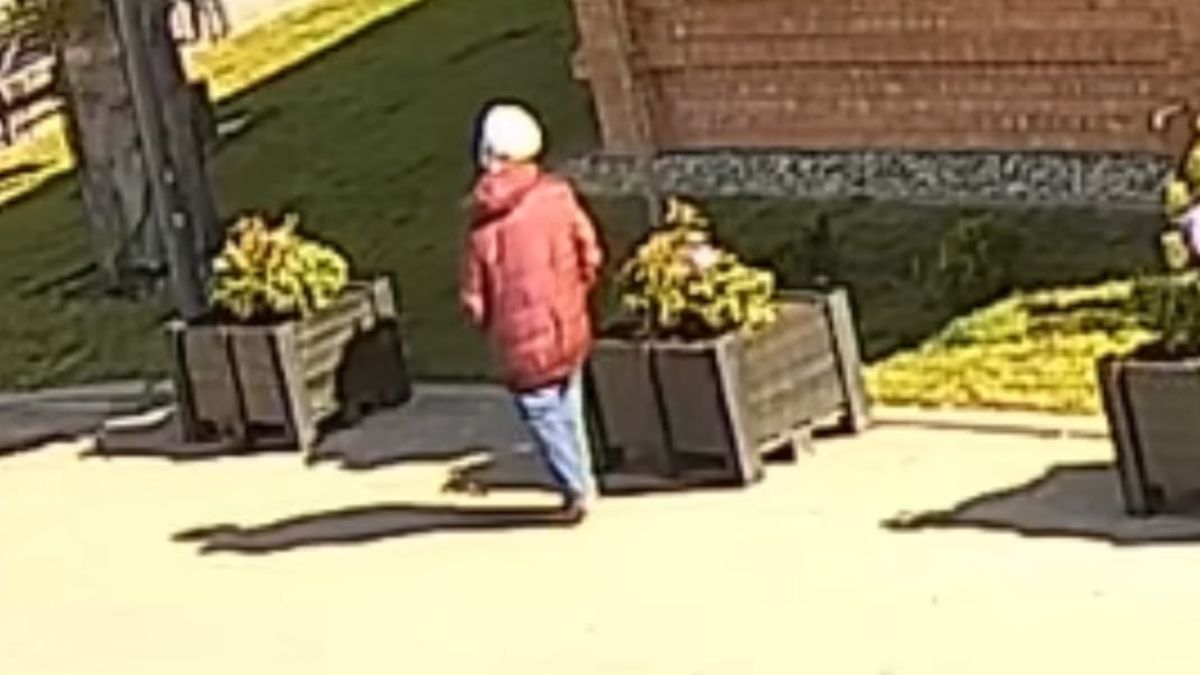 Kobieta ukradła roślinę.