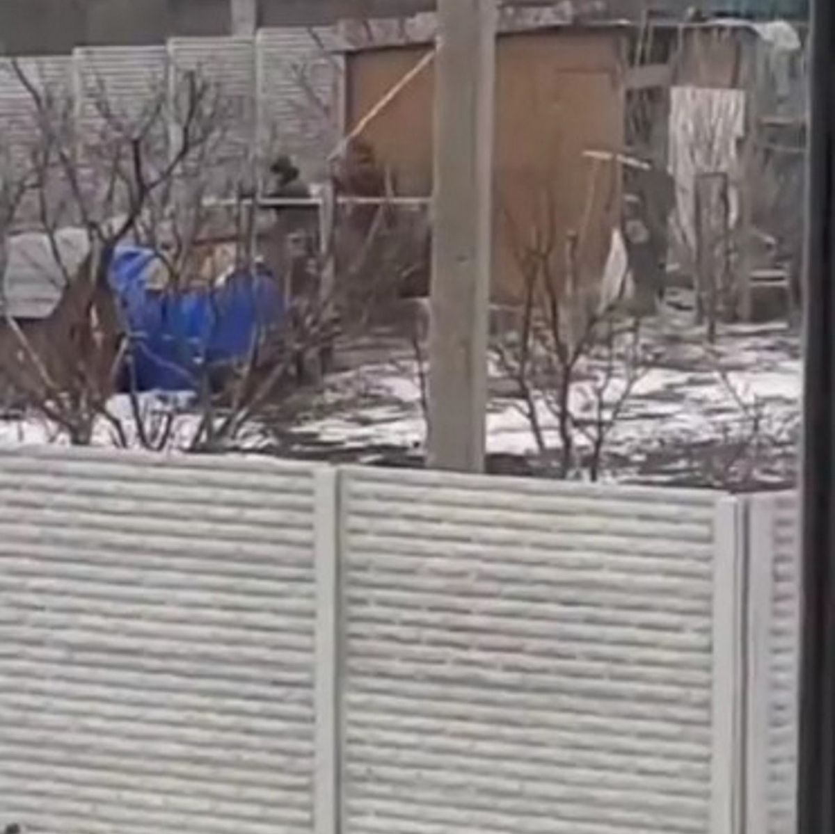 Rosyjscy żołnierze kradną kury 