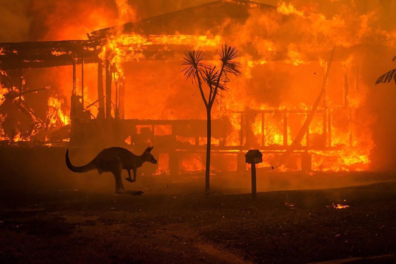To zdjęcie jest symbolem pożarów w Australii. Pokazuje siłę żywiołu