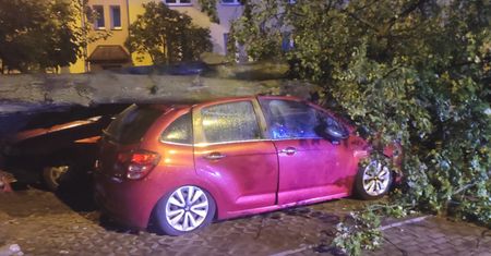Potężna nawałnica w Płocku. Straż opublikowała dramatyczne zdjęcia z akcji