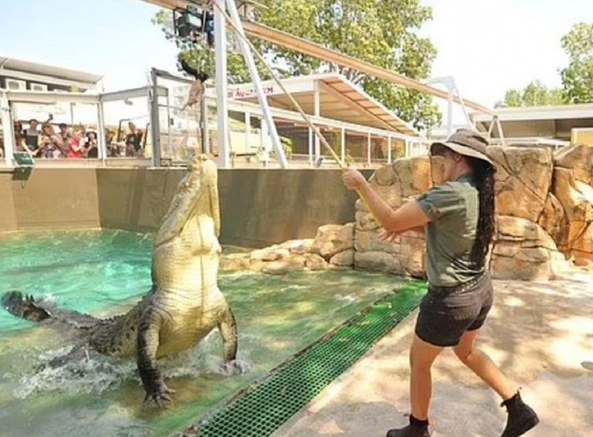 Chwile grozy w parku rozrywki. 5-metrowy krokodyl zaatakował opiekunkę