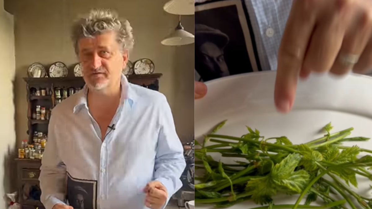 Niemcy i Hiszpanie płacą setki euro, a Palikot zrywa za darmo na ulicy. "Majstersztyk!"