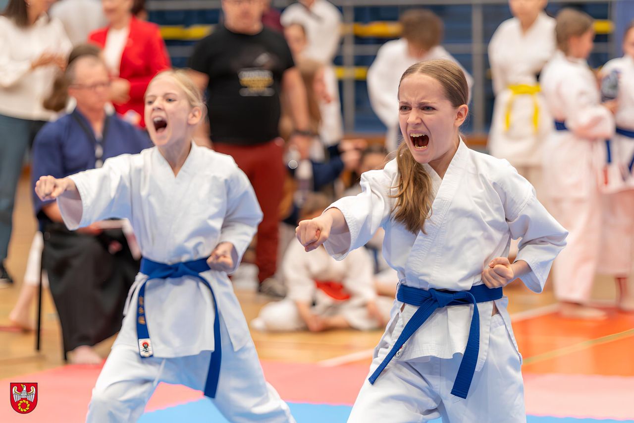 Ogólnopolski turniej karate tradycyjnego w Pile