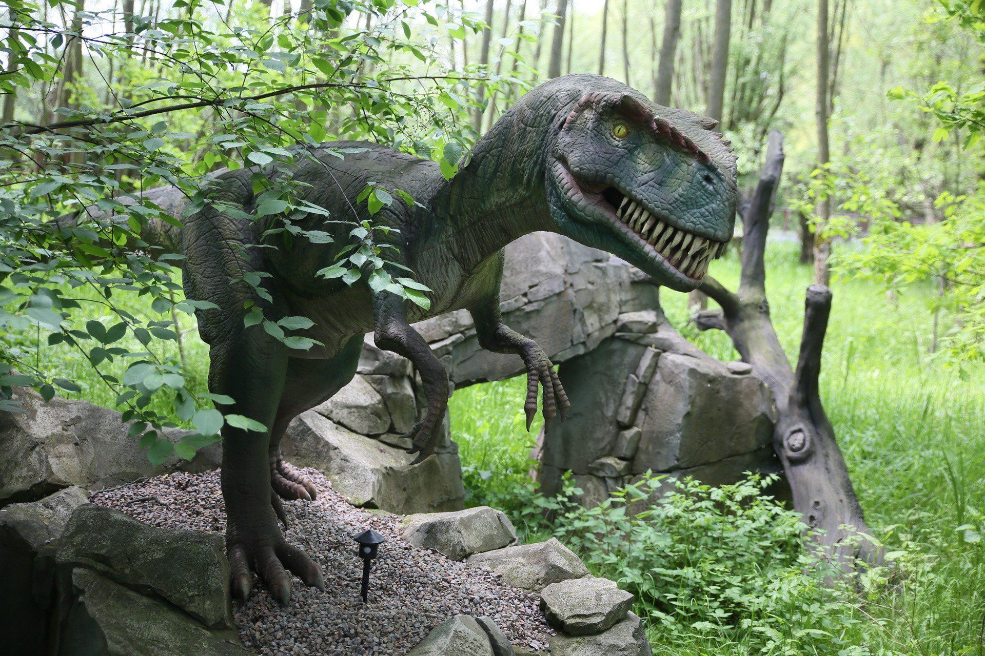 Park ruchomych Dinozaurów Zatorland 