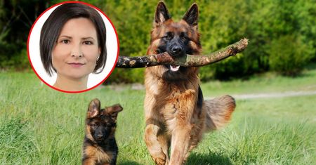 Broniła jedzenia psów. Konfederacja skreśliła ją z list
