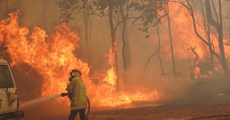Chcą wykrywać pożary w minutę. Australia zapowiada przełomowe rozwiązanie