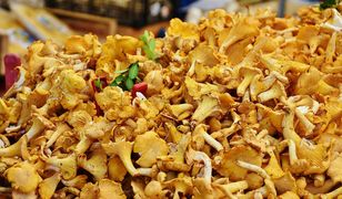 Cena wprawia w osłupienie. Tyle trzeba zapłacić za kurki