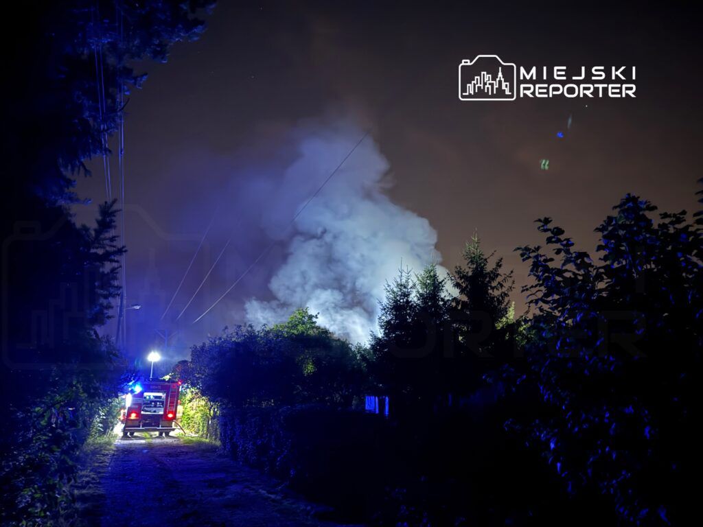 W nocy, w otoczeniu drzew, widać wóz strażacki oświetlony niebieskimi i białymi światłami, otoczony gęstym dymem.