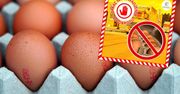 Jaja z Ukrainy nie trafią na polski rynek. "Obecność pustych skorupek"