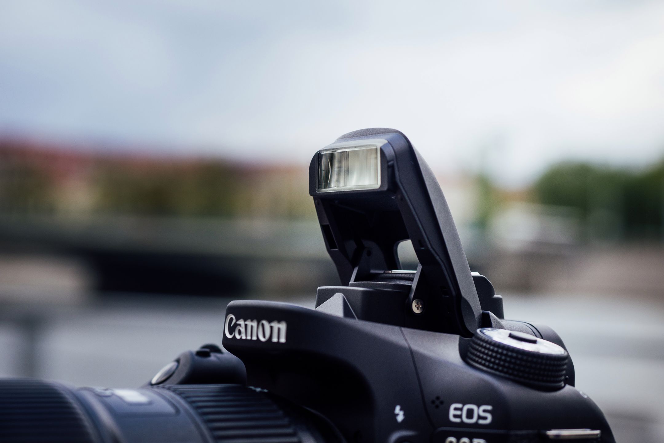 Canon EOS 80D - niewielkie zmiany, które zmieniły naprawdę wiele [test] 5
