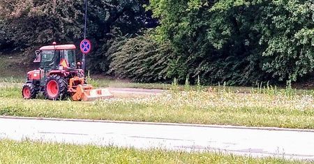 Kolejna łąka kwietna skoszona przez firmę zajmującą się utrzymaniem zieleni