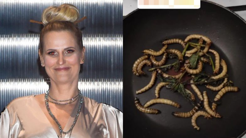 Dominika Tajner zajada się drewnojadami z patelni