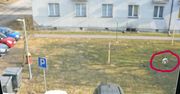"Strzelał do okien jak do tarczy" – 52-latek z powiatu ostrowskiego w rękach policji