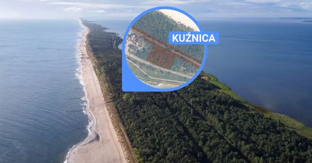 Bunt na Helu. Mieszkańcy nie chcą wycinki pod nowe tory dla turystów