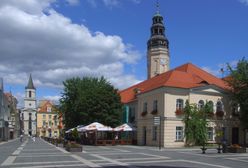 Lubuskie. Prezydent Zielonej Góry o "koronaściemie"