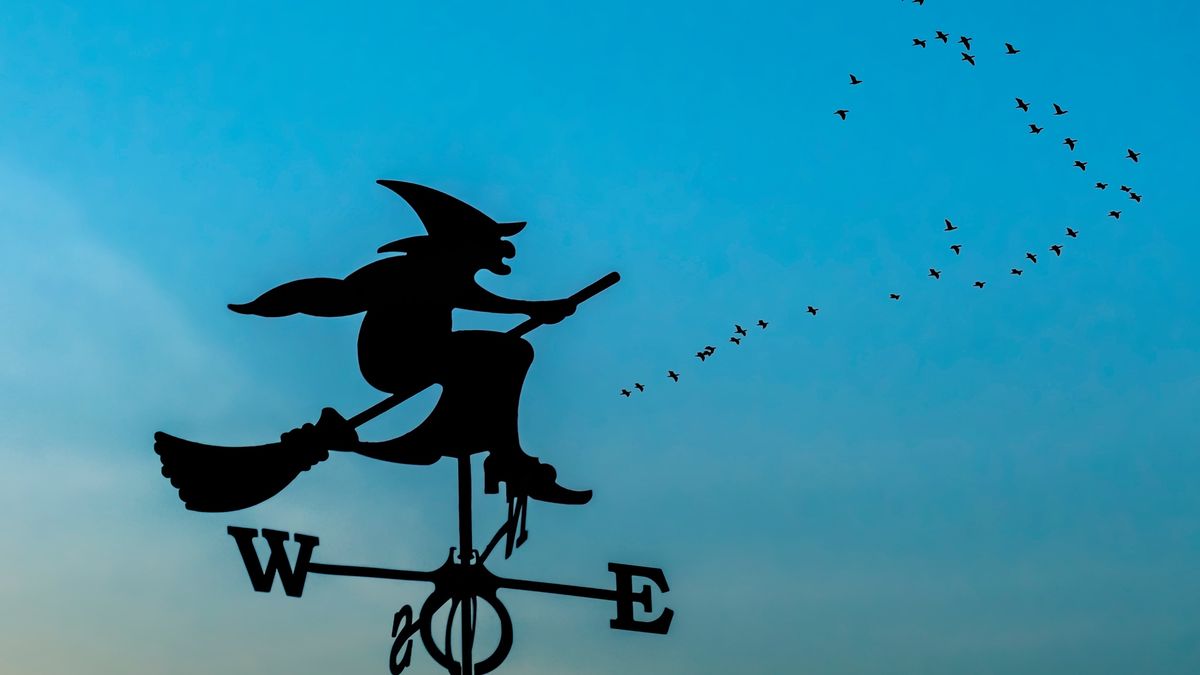 Uniwersytet w Exeter wprowadza kierunek: magia i okultyzm 