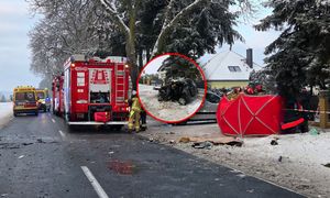 Nie żyje 4-latka i jej matka. "Nasz mały aniołek"