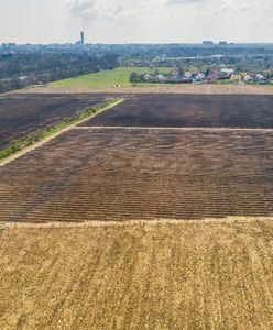 Dzień Ziemi. Wrocław zyska "zielone płuca". Rozpoczęły się nasadzenia na Osobowicach