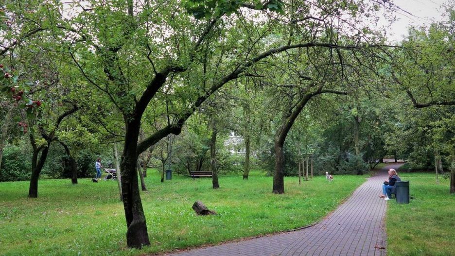 źródło: Urząd Miasta Warszawy