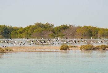 Bezcenny teren zagrożony. Potężny wyciek ropy zbliża się do rezerwatu