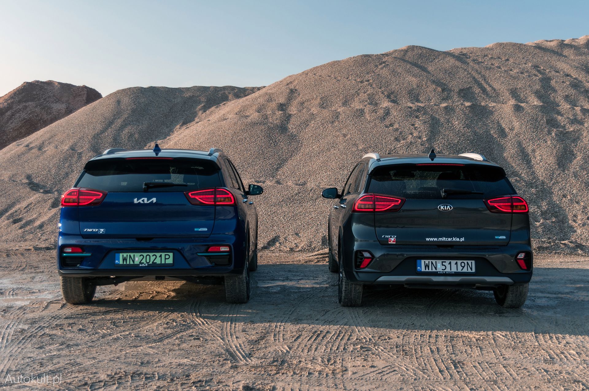 Kia e-Niro vs. Kia Niro PHEV (2021)