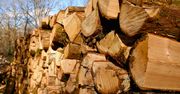 Jaki opał na zimę? Tyle drewna potrzeba zamiast tony węgla