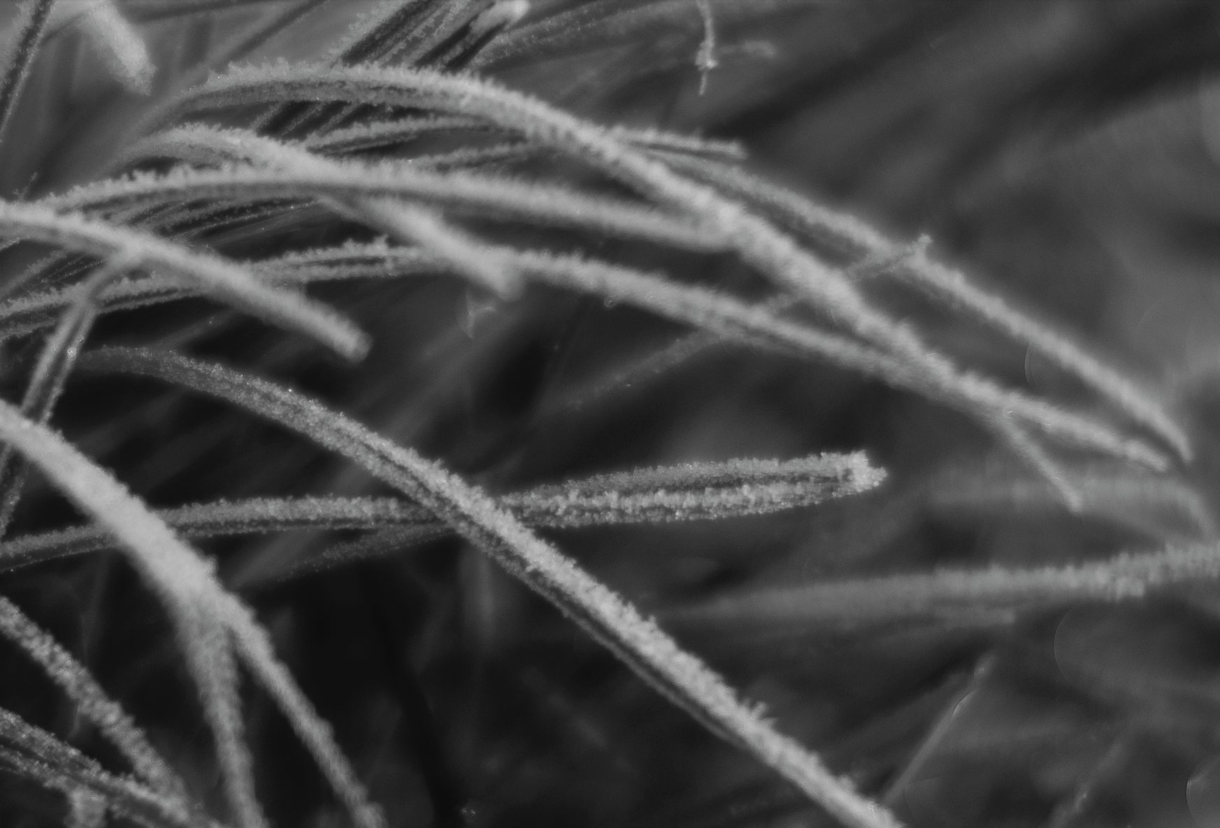 Voigtländer VM 50 mm f/1.1 Nokton - bardzo jasna pięćdziesiątka, która kreuje własną rzeczywistość [test] 43