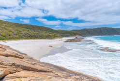 Australia. Atak rekina na słynnej plaży