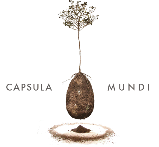 Capsula Mundi