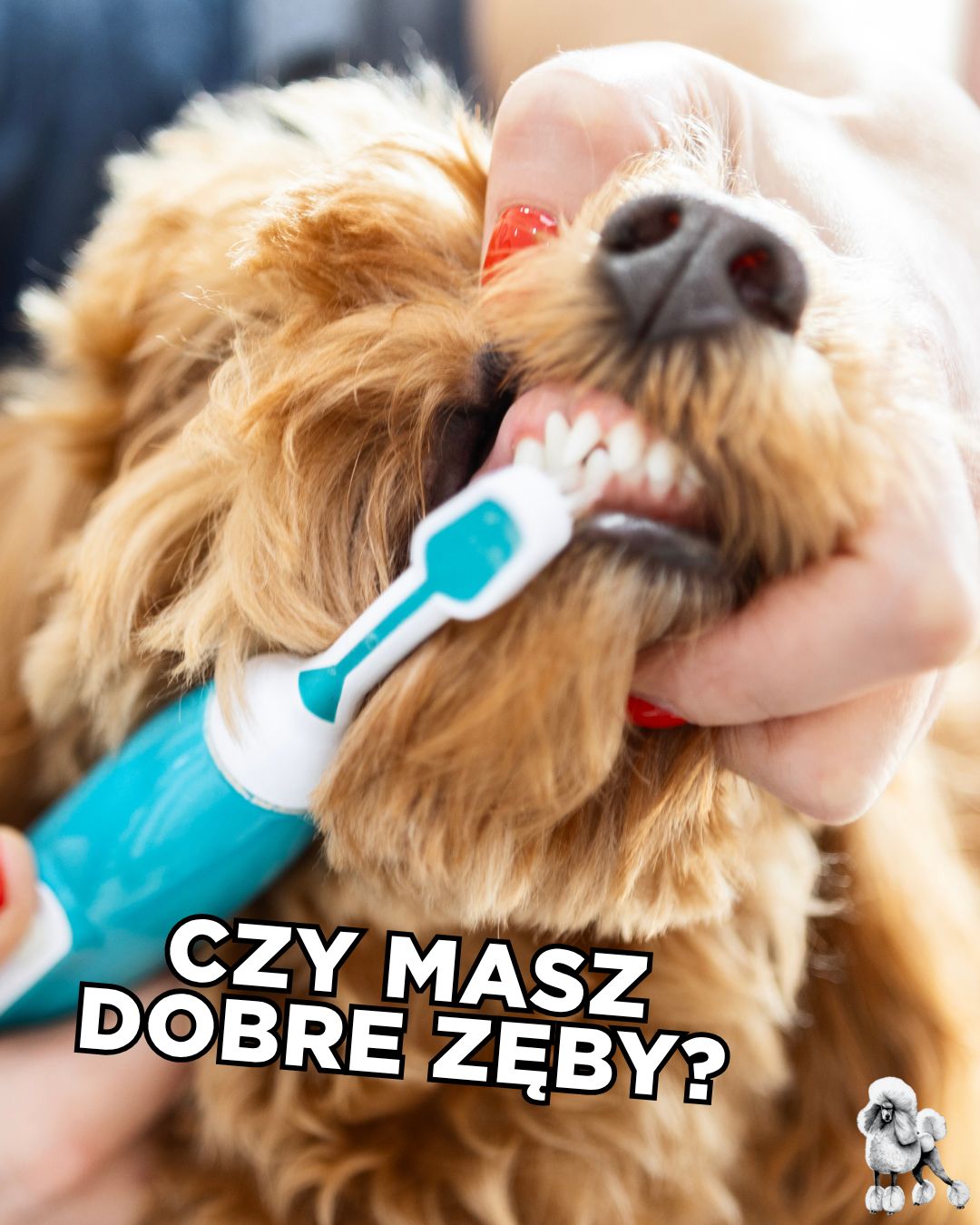 Najlepsze TEKSTY z "Love is Blind"