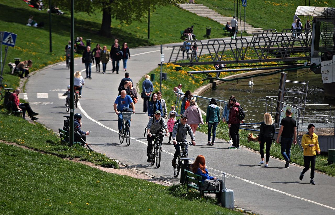 Jak przeżyć na drodze rowerowej w Krakowie w godzinach szczytu?