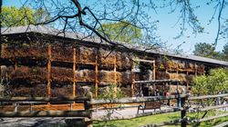 W miejskich tężniach wykryto groźne bakterie. Jest reakcja GIS