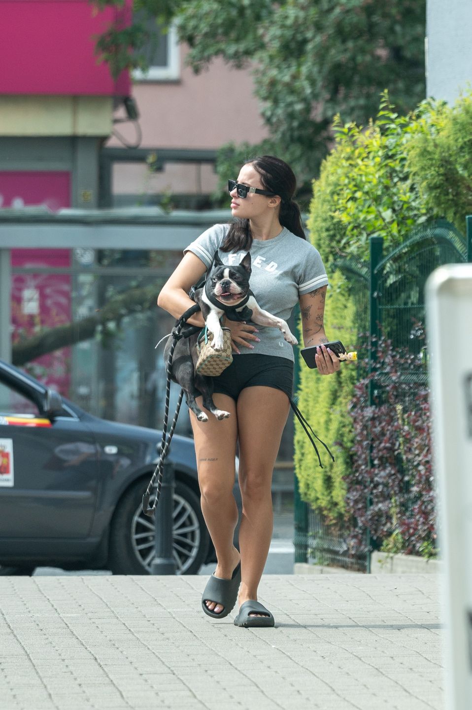 Fagata na spacerze z psem