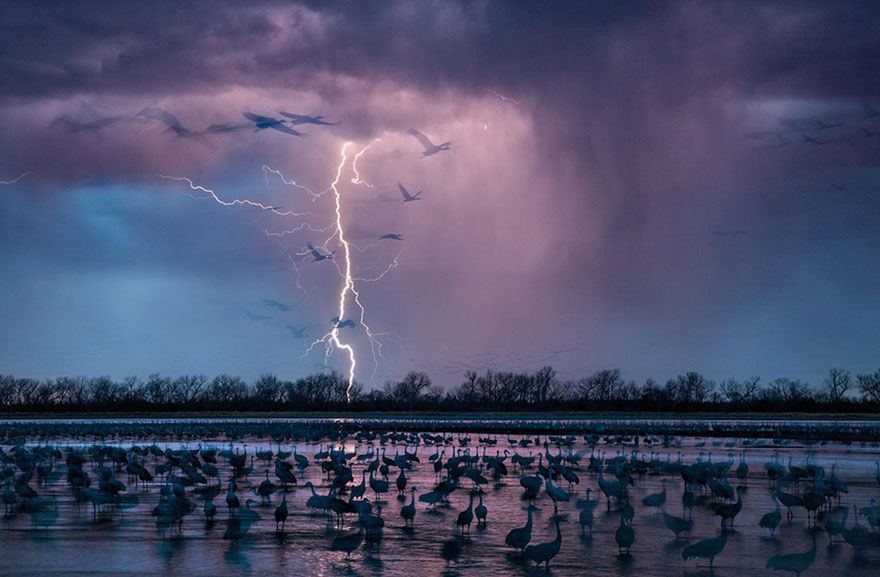 Oto najlepsze fotografie 2016 roku według magazynu National Geographic 2