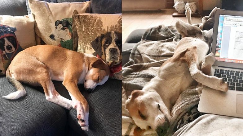 Dom Aleksandry Kwaśniewskiej