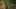 Elex 2. Galeria zrzutów ekranu