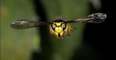 Fotoopa, czyli foto-dziadek z kosmicznym systemem do makro fotografii