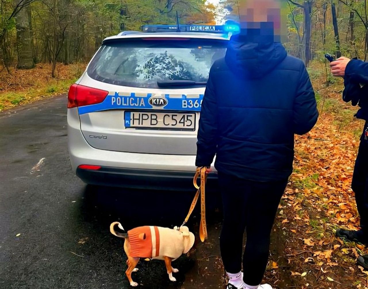 25-latka zgubiła się na grzybach. Uratowała ją jedna rzecz