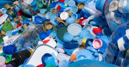 Larwy zwalczą plastik. Nowy pomysł naukowców