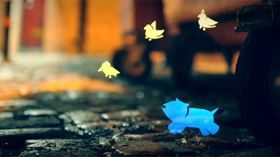 Jak wygląda miasto w oczach psa? [wideo] 1