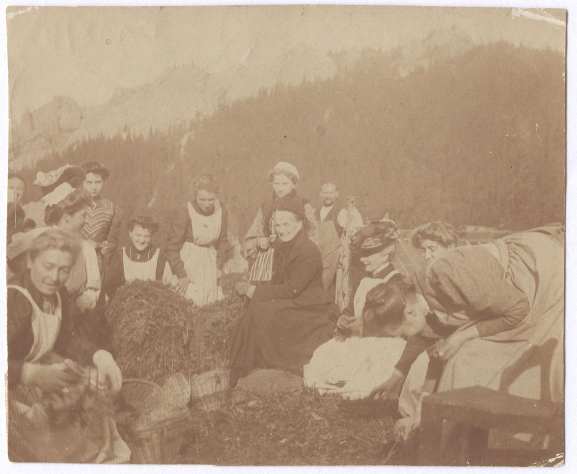 Jadwiga Zamoyską oraz nauczycielki i uczennice Szkoły Domowej Pracy Kobiet przy jarzynach, 1907 rok, zbiory PAN Biblioteki Kórnickiej 