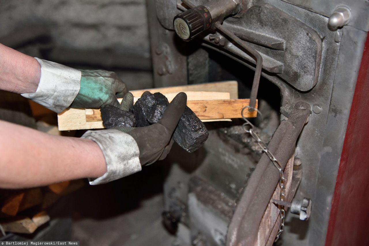 Rosną ceny opału. „Widać pewną desperację”