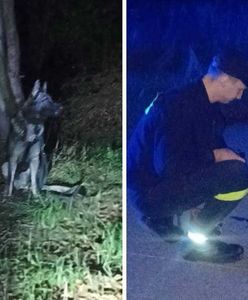 Zgubił się podczas grzybobrania. Pomógł policjant-myśliwy