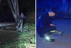 Zgubił się podczas grzybobrania. Pomógł policjant-myśliwy